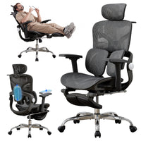 Dual Lumbar Support/Black