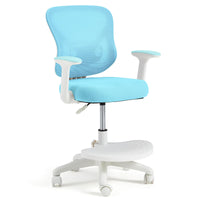 Lumbar Support-Blue