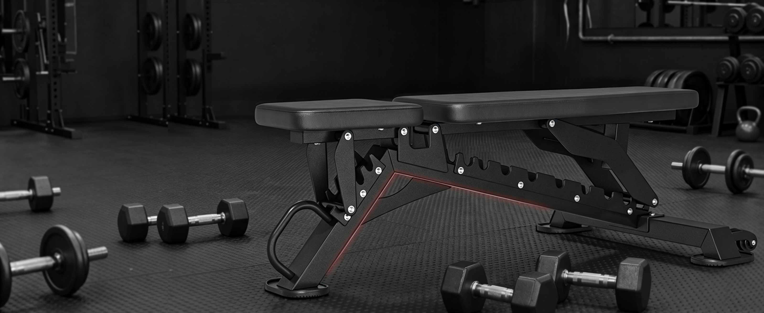 Exercise & Fitness
