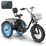 HOMREST Electric Trike for Adults,Peak 750W Brushless Motor, E-Trike with 20" x 4" Tires,LCD Display,Removable Battery, Charger,3-Wheel Electric Bicycle, Up to 70 Miles Range, 20 MPH+ Speed, Black