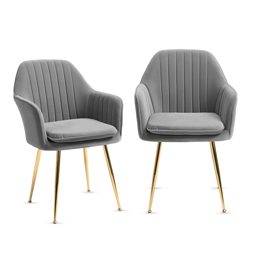 HOMREST Modern Living Dining Room Accent Arm Chairs Set of 2, Velvet Mid-Century Upholstered Seat Club Guest with Golden Legs, Gray