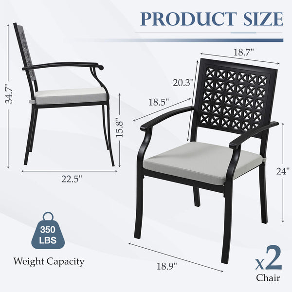 HOMREST Patio Dining Chairs Set of 2, Outdoor Metal Chairs with Armrests and Cushions, Patio Chair Set for Patio, Pool and Garden