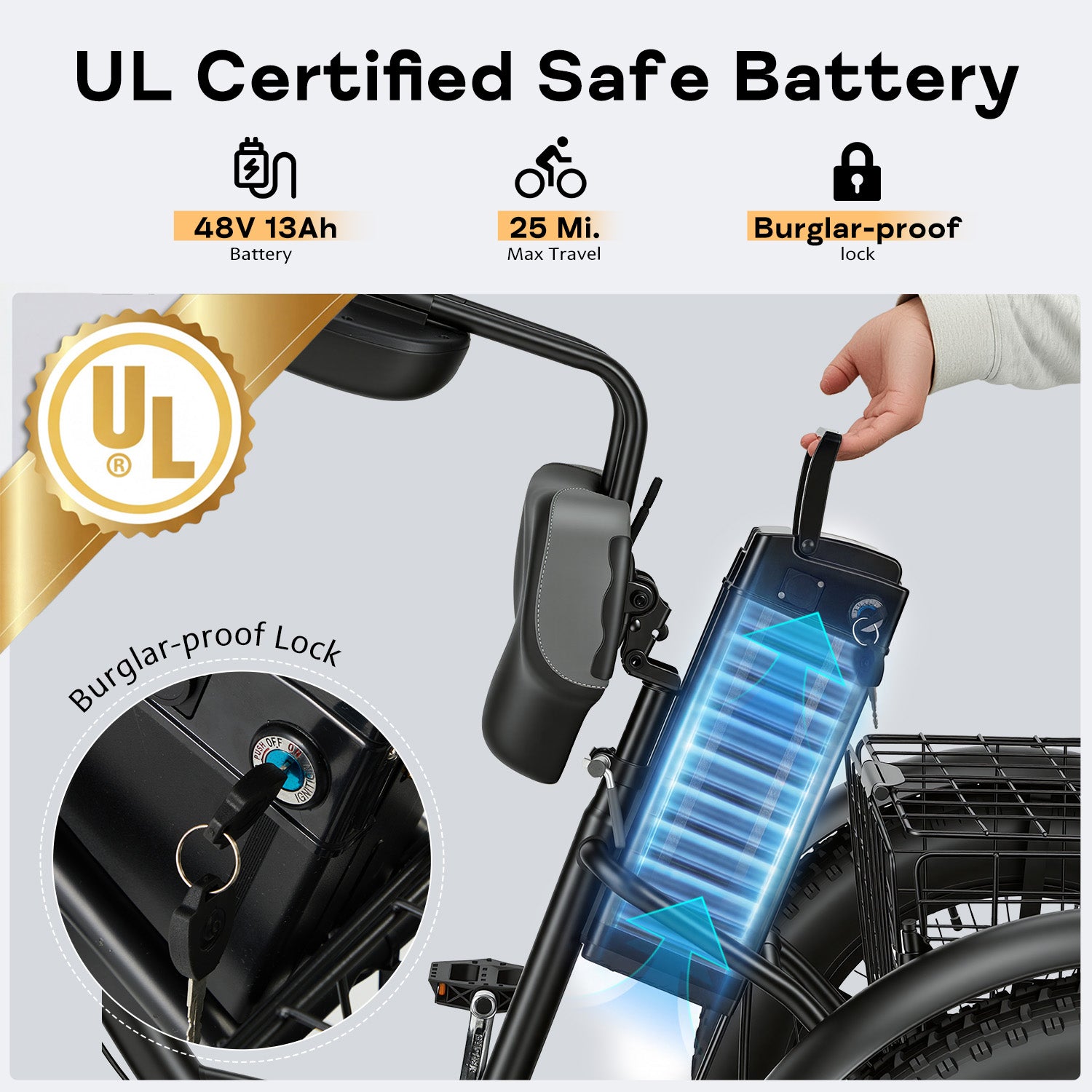 HOMREST Electric Trike for Adults,Peak 750W Brushless Motor, E-Trike with 20" x 4" Tires,LCD Display,Removable Battery, Charger,3-Wheel Electric Bicycle, Up to 70 Miles Range, 20 MPH+ Speed, Black