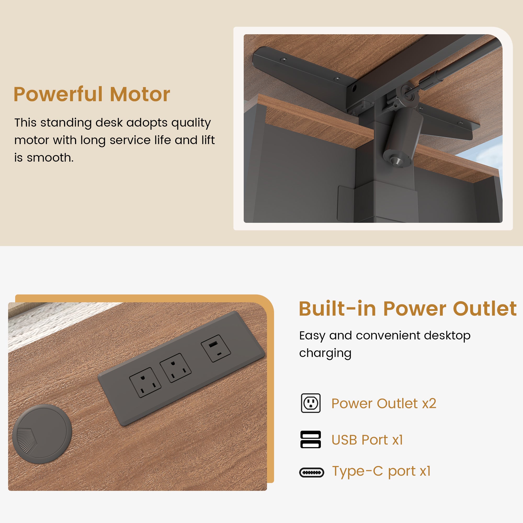 HOMREST 63" L Shaped Electric Standing Desk with Storage, Executive Adjustable Height with Power Outlets and Privacy Panel, Walnut Black
