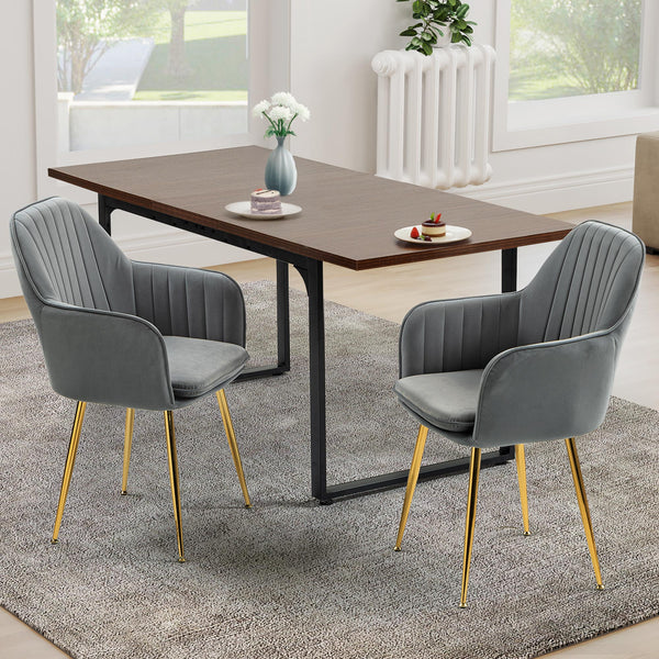 HOMREST Modern Living Dining Room Accent Arm Chairs Set of 2, Velvet Mid-Century Upholstered Seat Club Guest with Golden Legs, Gray
