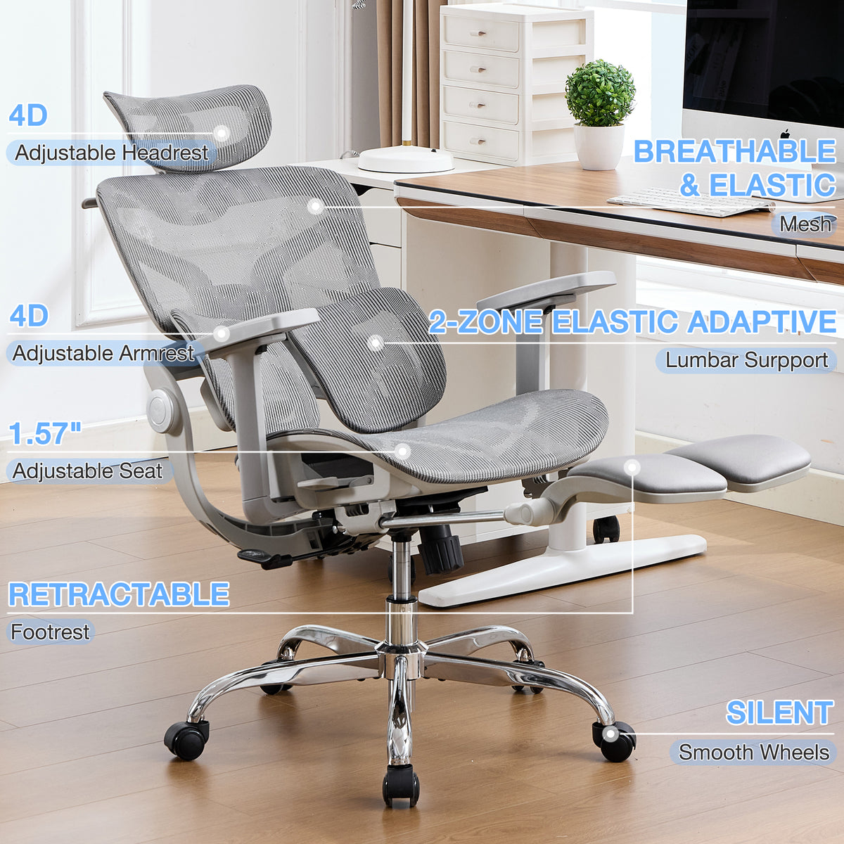 HOMREST Mesh Ergonomic Office Chair with 2-Zone Lumbar Support and Footrest,Grey