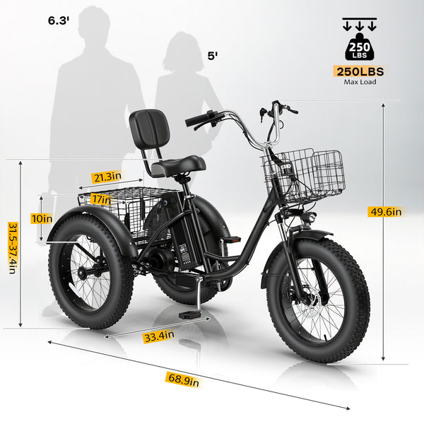 HOMREST Electric Trike for Adults,Peak 750W Brushless Motor, E-Trike with 20