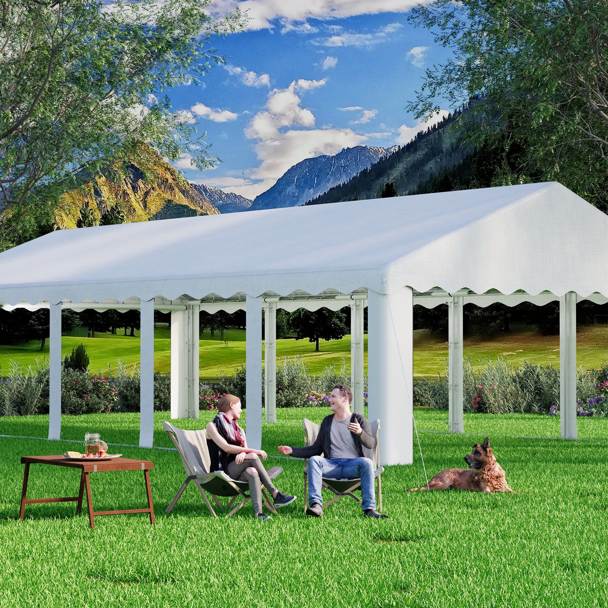 HOMREST 20x20 Ft Heavy Duty Party Tent Gazebo For Events Weddings BBQs – homrest