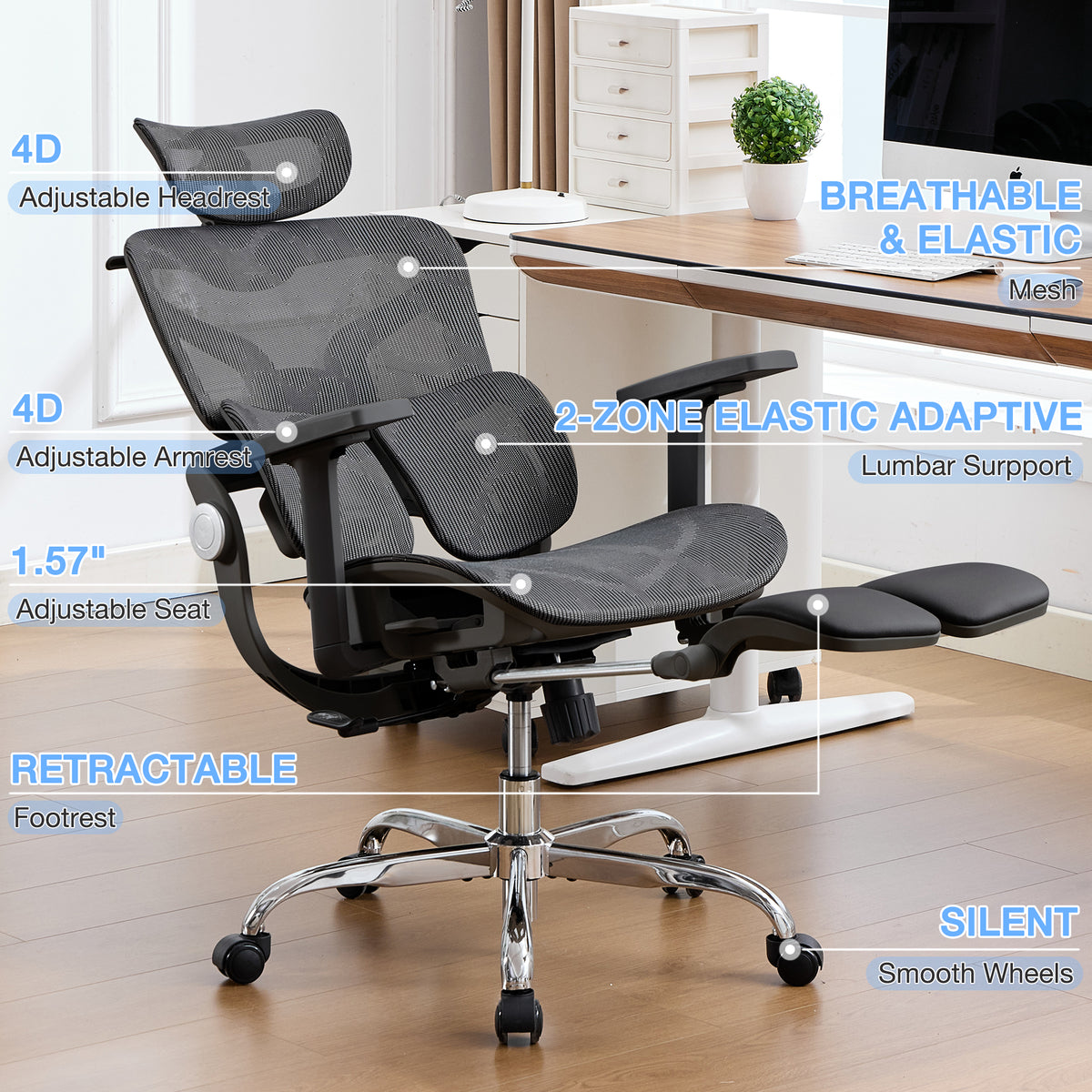 HOMREST Ergonomic Mesh Office Chair with 2-Zone Lumbar Support and Footrest,Black