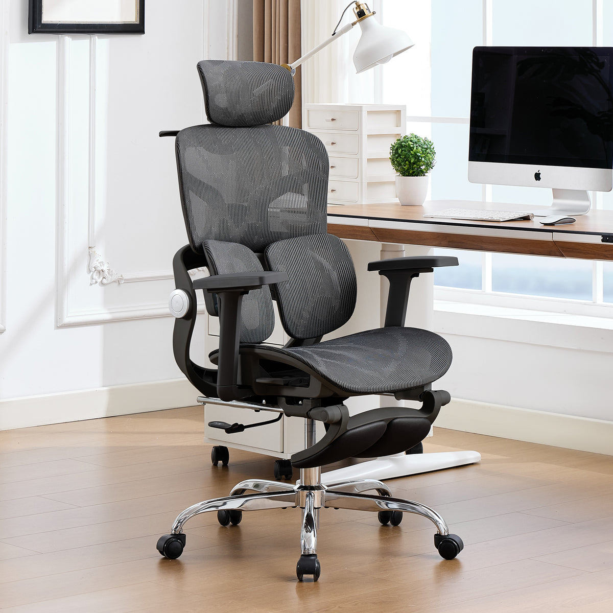 HOMREST Ergonomic Mesh Office Chair with 2-Zone Lumbar Support and Footrest,Black