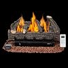 HOMREST 27 inch propane fireplace logs product image 2