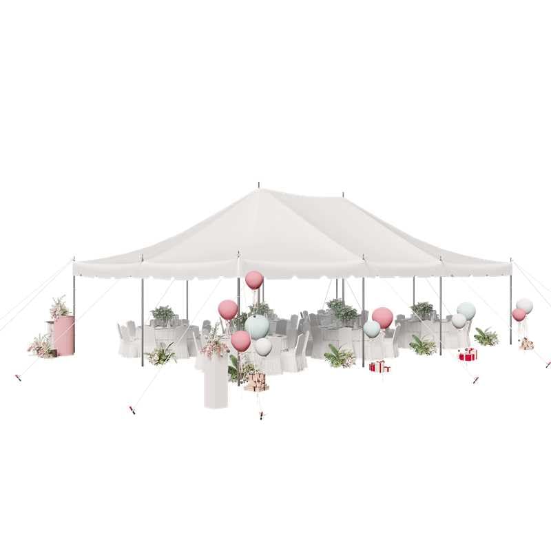 HOMREST 20x30 Canopy Pole Tent