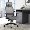 Homrest Ergonomic Executive Office Chair Swivel Height Adjustable Mesh Desk Chair w/ Caster Wheels & Coat Hanger, Grey