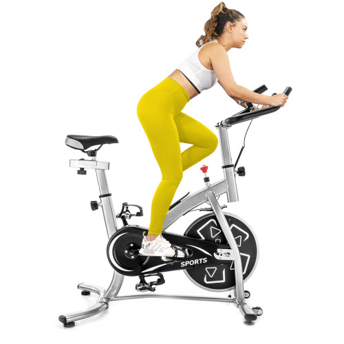 Stationary Professional Indoor Cycling Bike Exercise Bike Spin Bike S280 Trainer Exercise Bicycle(Silver)