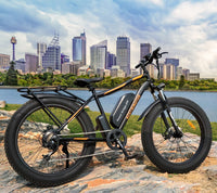 Black<br>26" Tire,750W